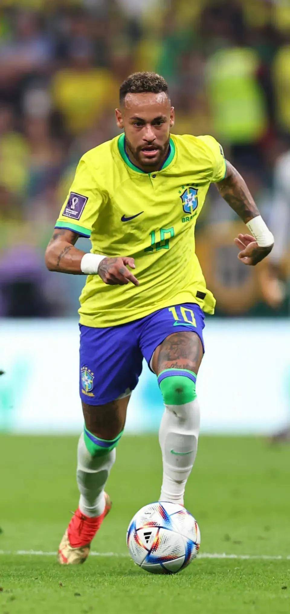 担纲主力 担纲主力